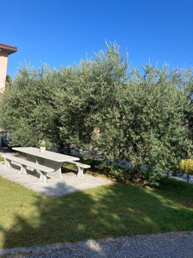 Residenza Giovanni Contone Exteriér fotografie